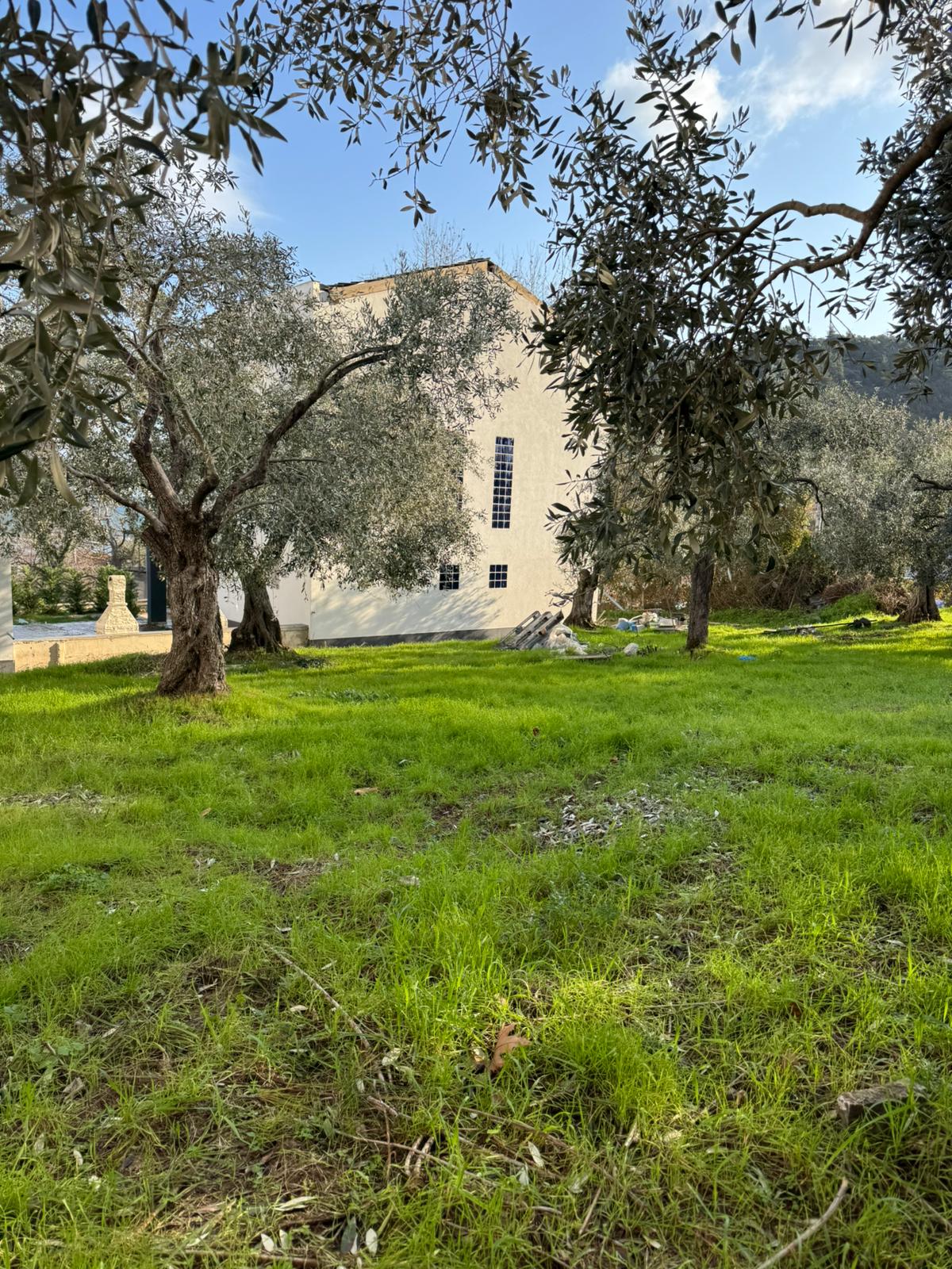 Real property view 2