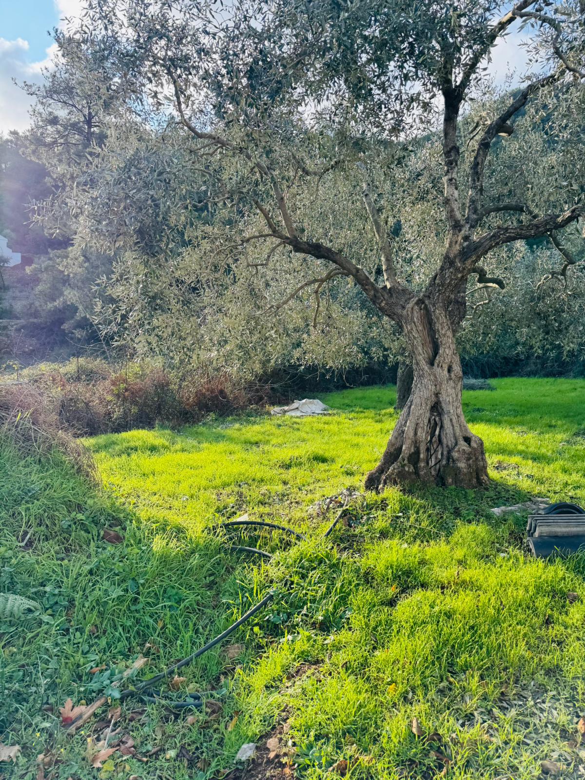 Real property view 7